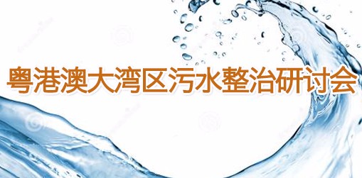 粵港澳大灣區(qū)污水整治研討會(huì)