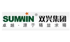 廣東雙興新材料集團(tuán)有限公司