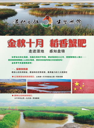 游客雜志廣告服務 連接全球旅行者，點亮品牌旅程